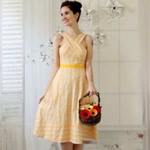 Anthropologie HD in Paris Asbury park dress